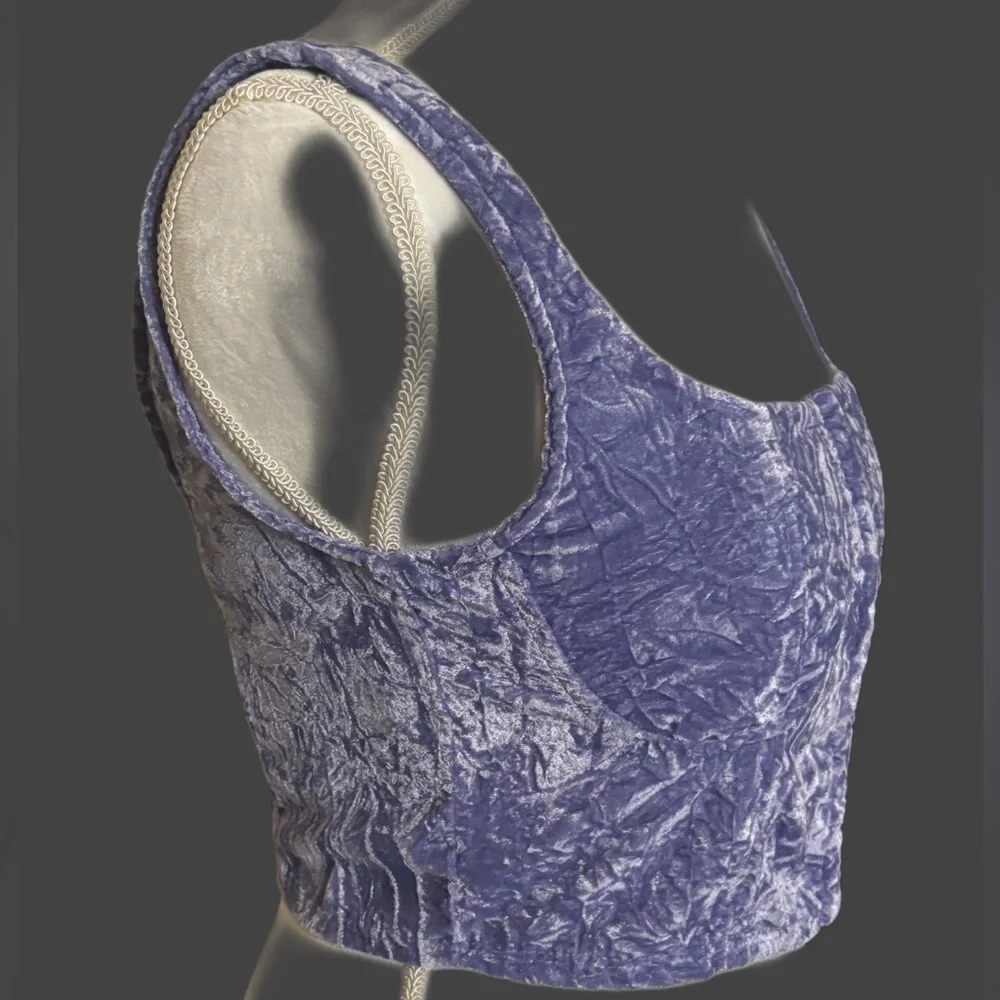 Wild Fable Crushed Velvet Purple Corset Tank - Picture 4 of 7
